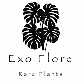 Exo Flore