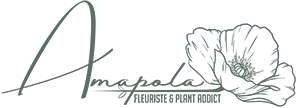 Logo - Amapola