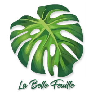 Logo - La belle feuille