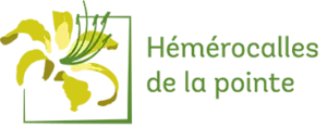 Logo - Hémérocalles de la pointe