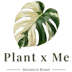 Logo - Plant x Me