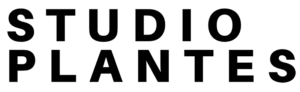 Logo - Studio plantes