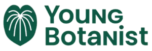 Logo - Young Botanist
